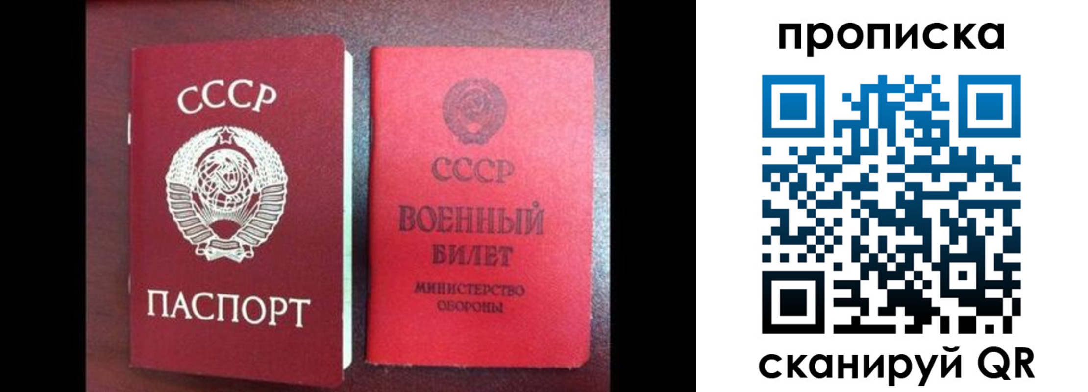 временная регистрация поиск в Купино